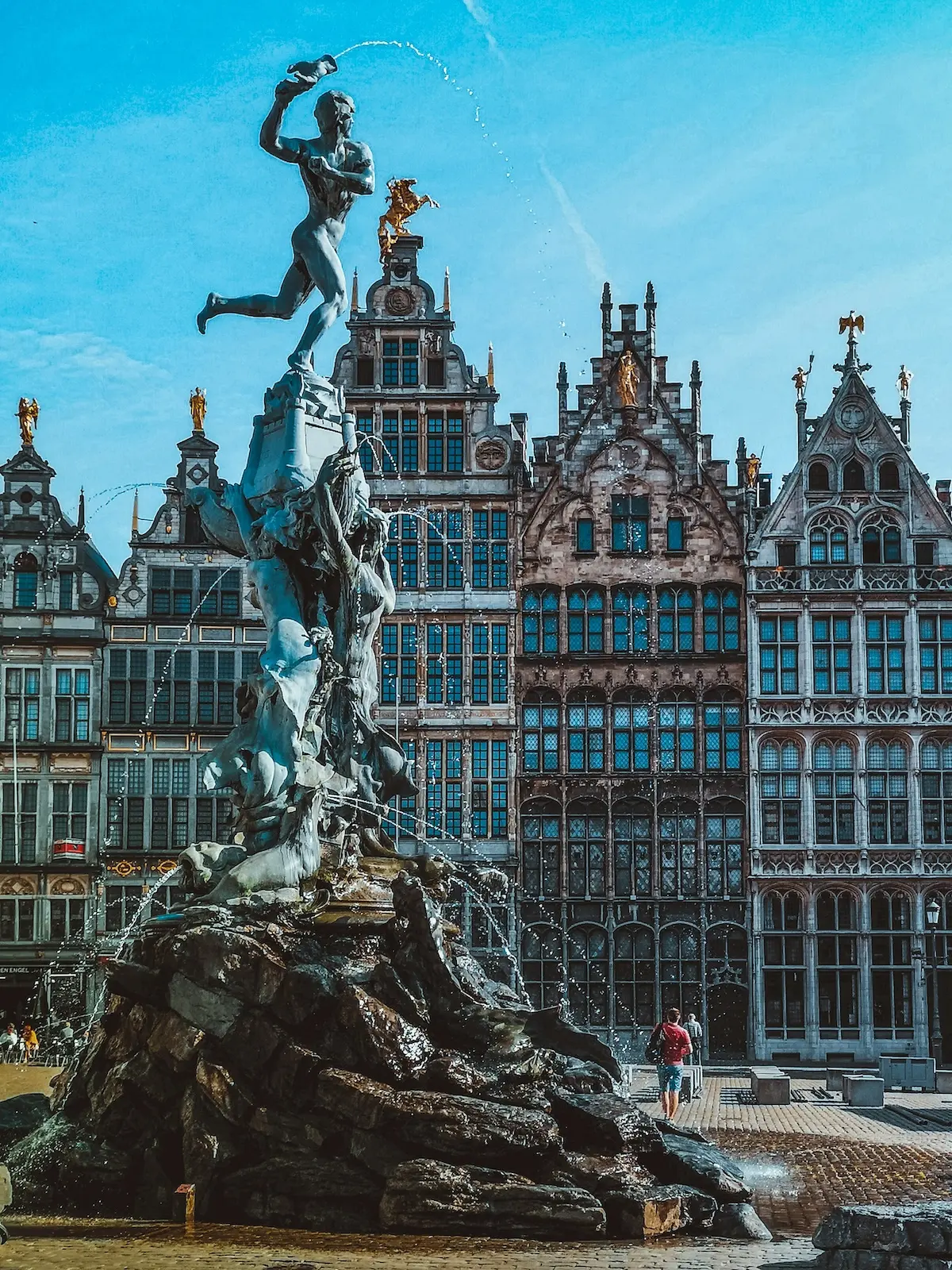 Discover the magnificent Antwerp's Town Hall: guided tour in English